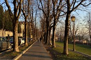 89 Viale delle Mura, ben alberato 